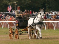 The pomp of the carriage parade during Aiken's Steeplechase.